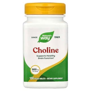 Nature's Way, 膽鹼,500 毫克,100 片純素食片
